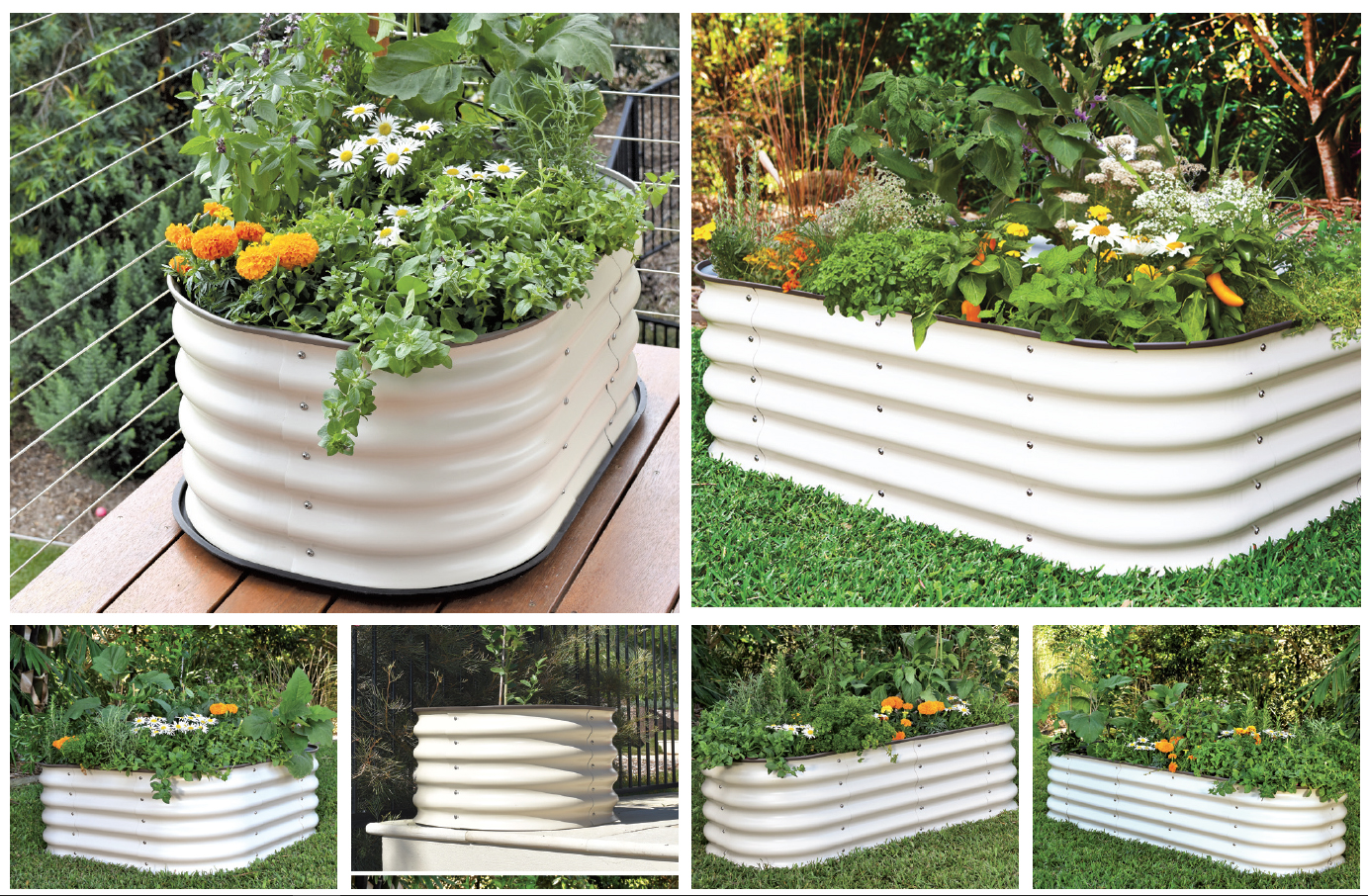 6 in 1 Small Raised Garden Bed Birdies Garden Products South Africa